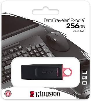 Kingston DataTraveler Exodia USB 3.2 Flash Drive